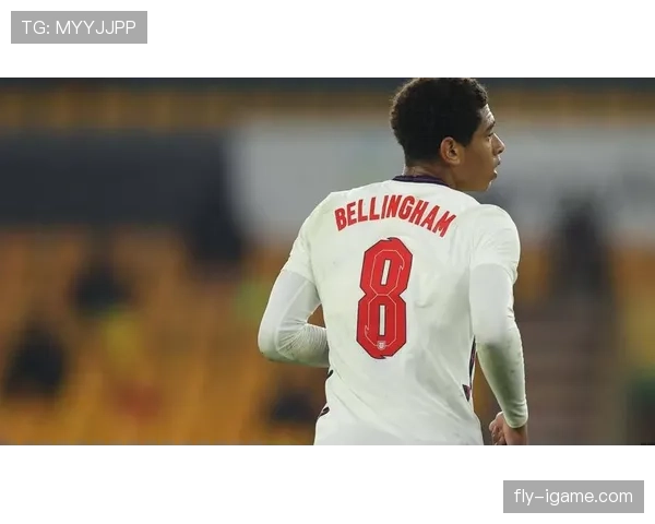 英格兰新星贝林厄姆闪耀赛场，未来可期