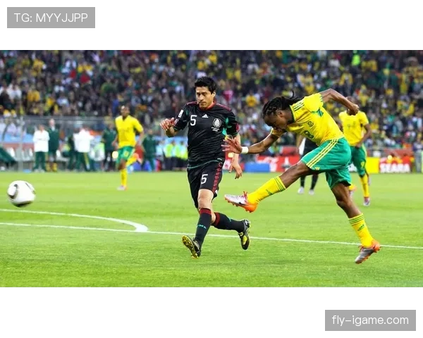 西班牙2010世界杯夺冠之路：稳健表现铸就辉煌传奇