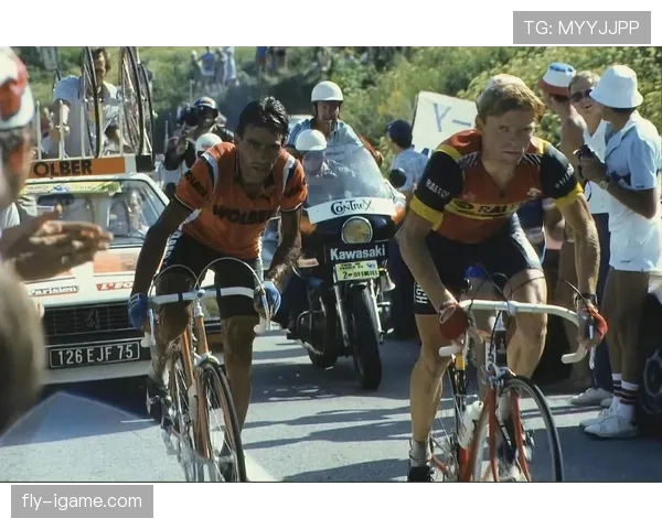 菲戈比赛影响指数持续提升，近期表现稳健